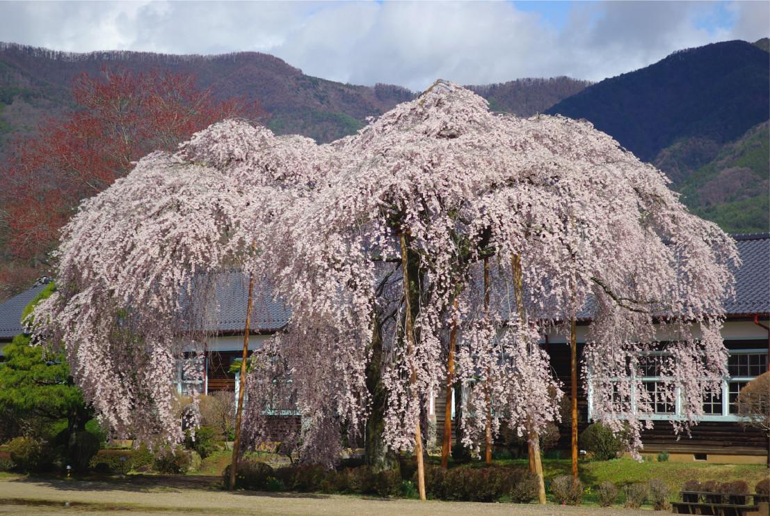 Ryokan Ootaya Iida Exterior photo